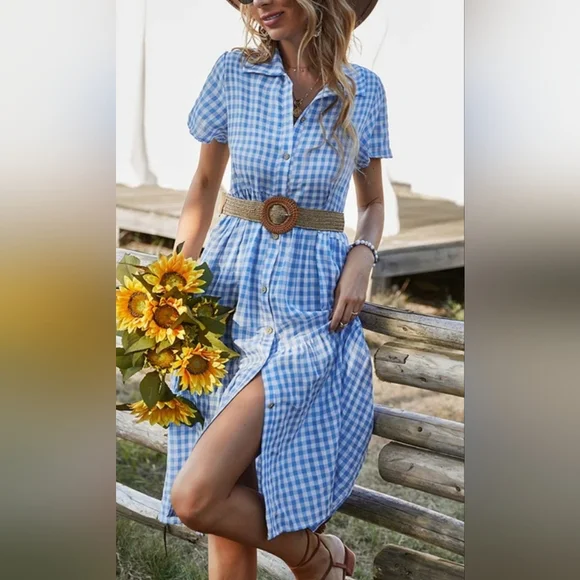 Emery Rose Gingham Button-Down Dress - Picture 2 of 12